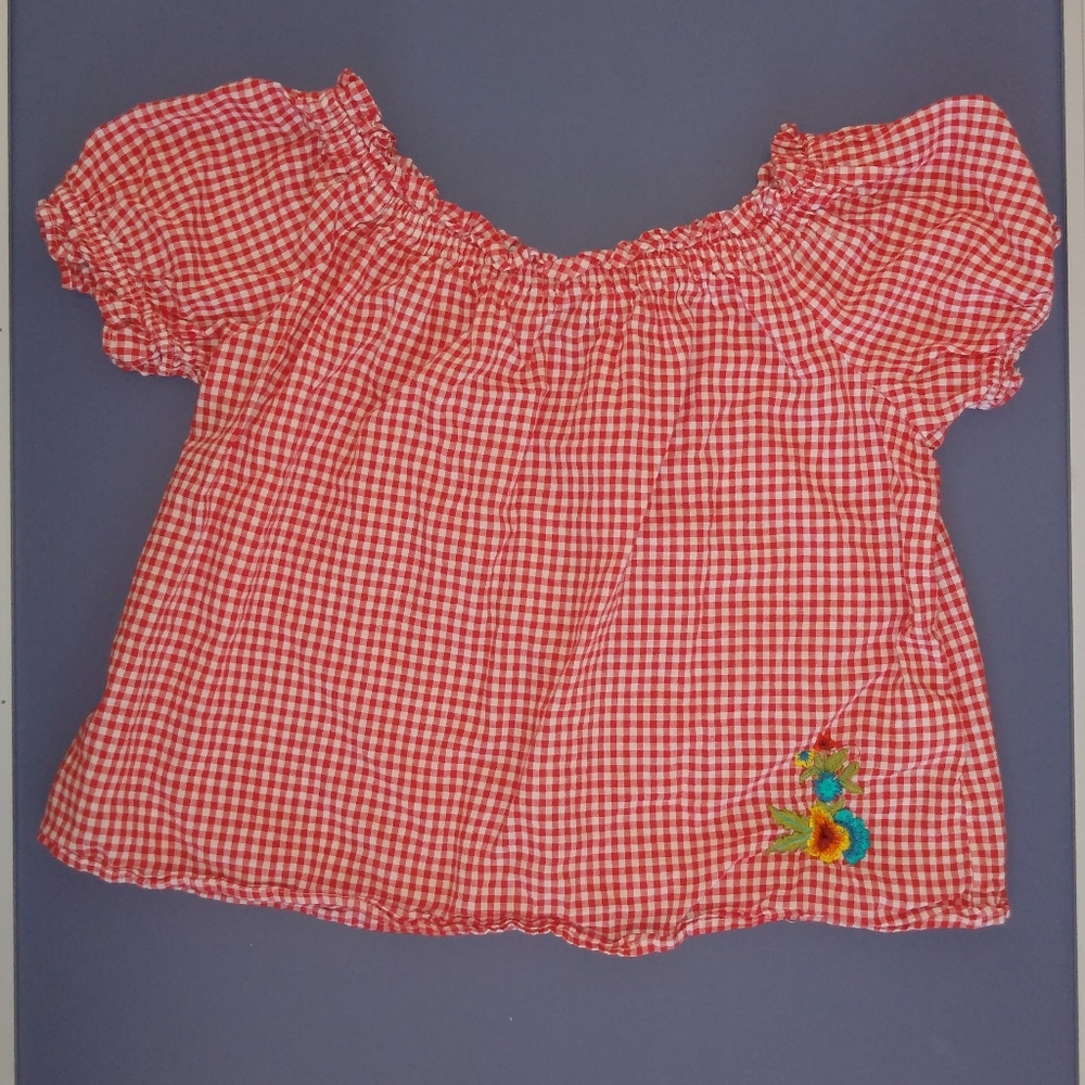 Red and White Checkered Blouse